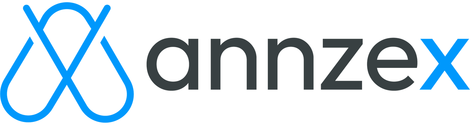 annzex-logo